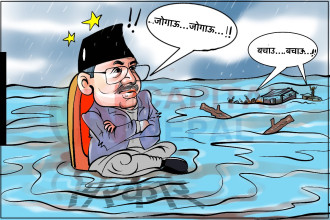 साताको कार्टुनः सरकार जोगाऊँ कि जनता!