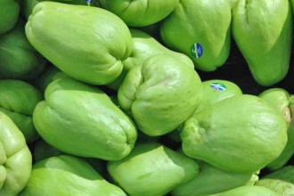 दैनिक १० हजारभन्दा बढीको स्कुस बिक्री गर्दै उदयपुरका किसान