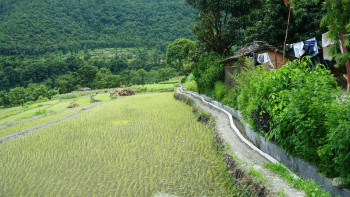 ५२ हेक्टरमा सिँचाइ सुविधा विस्तार, करिब ५ करोड बजेट विनियोजन