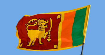 श्रीलंकाको विप्रेषण आयमा उल्लेख्य वृद्धि