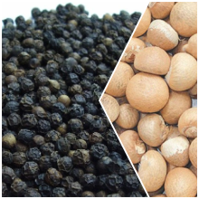 सुपारी र मरीचः कागजमा कच्चा पदार्थ प्रयोजन मात्रै, बजारमा छ्यापछ्याप्ती