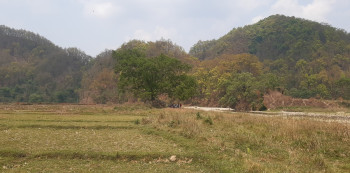 सुरौदी जलाधार क्षेत्रका स्थानीयको पीडाः कटान नियन्त्रण नगर्दा बगर, पुल नहुँदा जोखिम