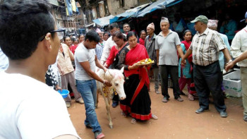 तलेजु भवानीको साक्षात रुपः खड्ग जात्रासहित तलेजुको घोडा जात्रा सम्पन्न