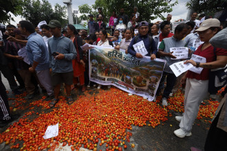 माइतीघरमा गोलभेडा फालेर किसानको विरोध, मूल्य नपाएको गुनासो