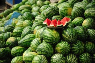 गर्मी मौसमको लाभदायी फलफूल तरबुजाः कोल्ड–ड्रिंक्सको विकल्प, शरीरलाई ‘चिस्यान’