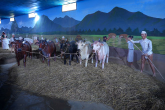 लुम्बिनीको पर्यटकीय गन्तव्य थारु सांस्कृतिक संग्रहालय (तस्बिरहरु)