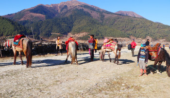 ढोरपाटनमा चिसो बढेपछि स्थानीय बेंसी झरे, पर्यटक चहलपहल बढ्यो