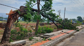 झापामा हुरीबतास, रुखले किचेर किशोरीको मृत्यु