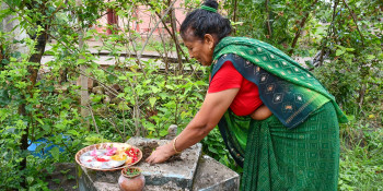 घरघरमा तुलसीको बिउ रोपेर निर्जला एकादशी मनाइँदै, विष्णु मन्दिरमा भक्तजनको घुइँचो