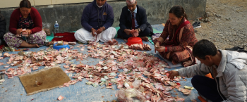 गलेश्वर मन्दिरमा ५१ लाख भेटी संकलन,महाशिवरात्रिमै चार लाख 