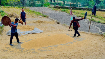 पर्वतका कृषकले ६५ करोड बढीको कृषिजन्य वस्तु बेचे