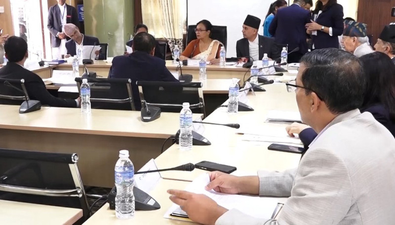 प्रस्तावित १७ देशका राजदूतको संसदीय सुनुवाइ कार्यतालिका सार्वजनिक, उजुरी पोका खोलियो