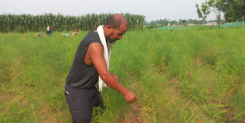 कुरिलोखेतीबाट एकै याममा सात लाख मुनाफा
