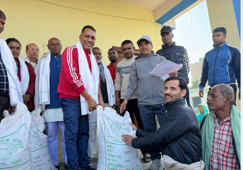 महोत्तरीका किसानलाई ५० प्रतिशत अनुदानमा गहुँको बीउ वितरण