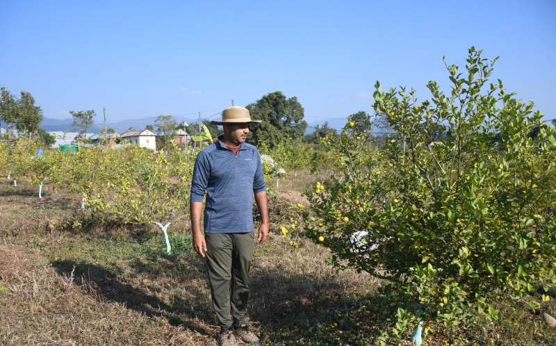 व्यावसायिक कागतीखेतीमा व्यस्त सिभिल इन्जिनियर लोहनी, १० जनालाई रोजगारी