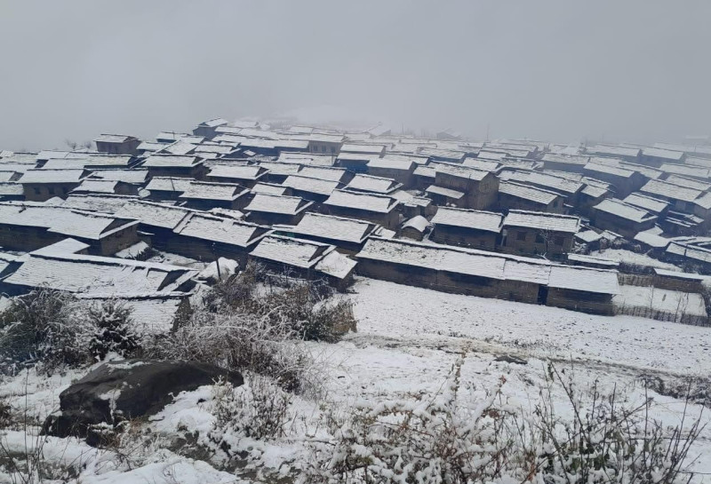 रसुवाको उत्तरी भेगमा हिमपात, जनजीवन प्रभावित