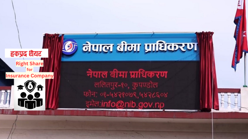 १० कम्पनीलाई हकप्रद अनुमति दिँदै बिमा प्राधिकरण, कुनलाई कति? 