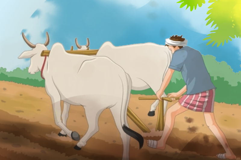 फलफूल, मासु र खाद्यान्न बिक्रीअघि विषादी परीक्षण अनिवार्य