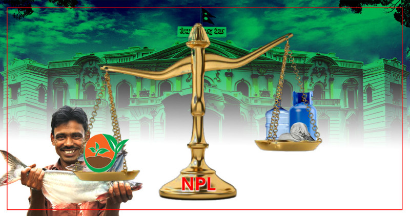 क्षेत्रगत एनपिएलः कृषि र माछा पालन भयावह अवस्थामा, विद्युत-ग्यासमा सबैभन्दा कम