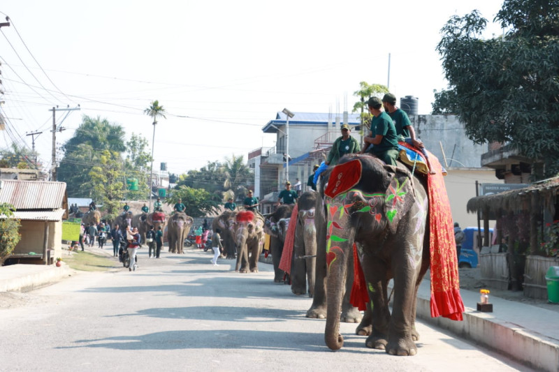 सौराहामा हात्ती महोत्सवः पिङ्किकली र चम्पाकलीको सिँगारसँगै उत्सवको रौनक (तस्बिरहरु)