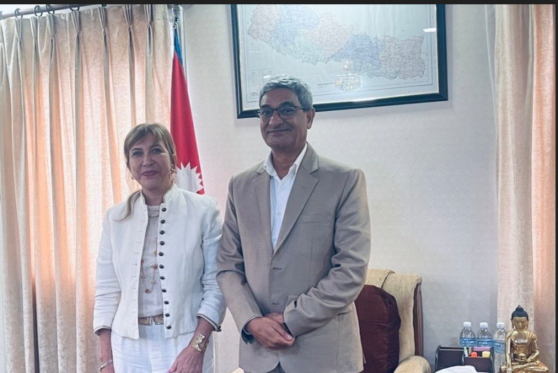 गृहमन्त्री लेखक र संयोजक हाम्दीबीच भेटवार्ता 