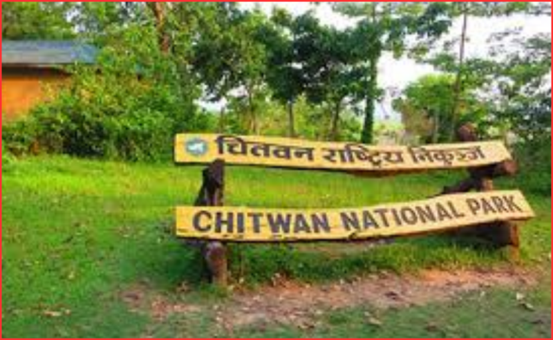 चितवन राष्ट्रिय निकुञ्ज घुम्न आउने आन्तरिक पर्यटक बढे