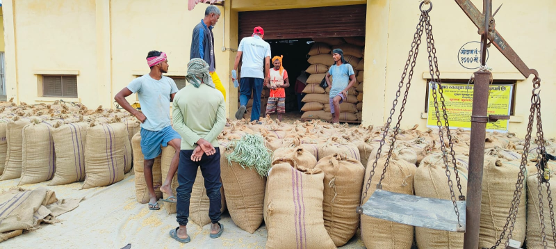 खाद्य व्यवस्था कम्पनीले सवा २१ करोडको गर्यो धान खरिद
