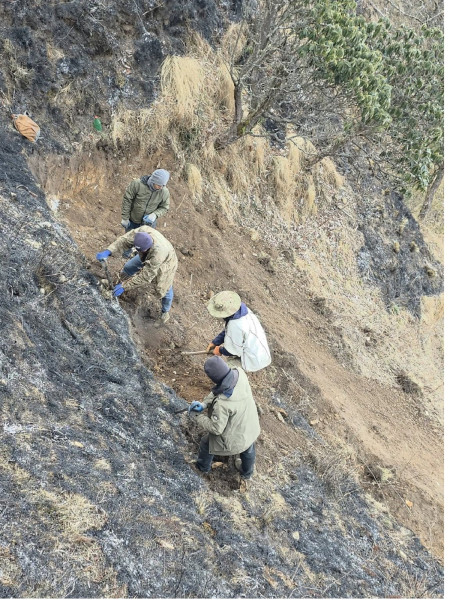 धौलागिरि आइसफल जोड्ने पदमार्ग बन्दै, निर्माण गर्न २० स्थानीयको जंगलमै बास