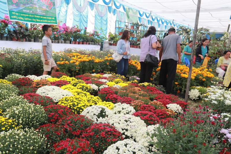 जावलाखेलमा पुष्प मेलाको रौनक (तस्बिरहरू)