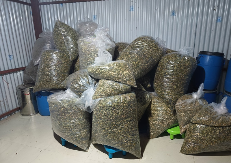 ‘भानु गुन्द्रुक’ ब्रान्डिङ गर्दै नगरपालिका, डिजिटल अनलाइनबाटै बजार विस्तार