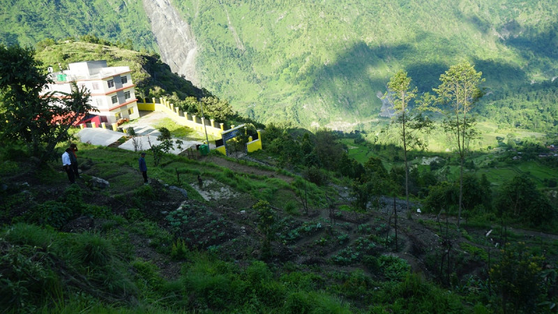 बाँझिएको पाखोबारीमा वनमारा फाँडेर  विद्यार्थीले लगाए तरकारी, बनाएर हराभरा