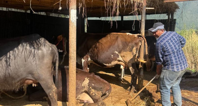 मधेसका किसान समूहलाई २ अर्ब अनुदान दिँदै, कुन जिल्लामा कति जाँदैछ पैसा?