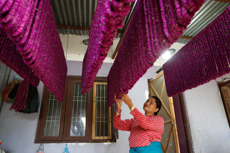 तिहारमा फूलको व्यापारः होलसेलमा सयपत्री प्रतिमाला १२५ र मखमली ६५, उपभोक्ता मूल्य कति?