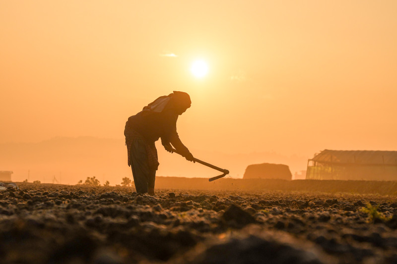 जाडोयामको आलु खेतीमा व्यस्त पानौतीका किसान (तस्बिरहरु)