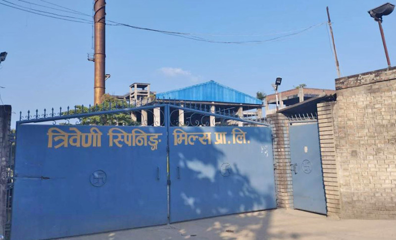 भारत र टर्कीमा धागोको माग बढेपछि त्रिवेणी स्पिनिङ मिल्सको व्यापारमा उछाल