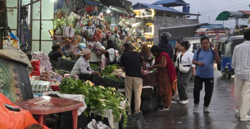 गर्मी छल्न भेडेटार आउने पर्यटकको कोसेली ‘अर्ग्यानिक तरकारी’