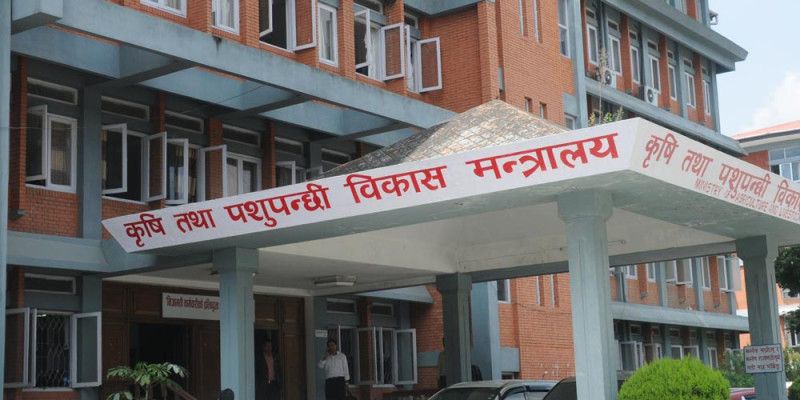 कृषि मन्त्रालयको बजेट घट्ने, अभाव हुन सक्छ रासायनिक मल