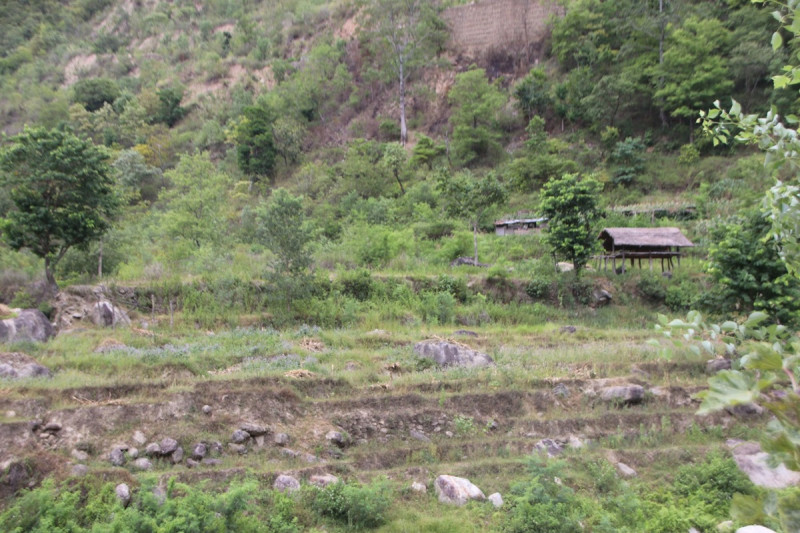 सिँचाइमा क्षति पुग्दा तीन बाली लाग्ने खेतबारी बाँझिए