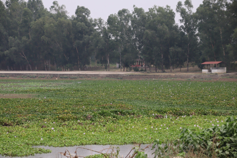 पाँच करोडको लगानीमा कञ्चनपुरको बन्धातालमा पूर्वाधार निर्माण गरिँदै