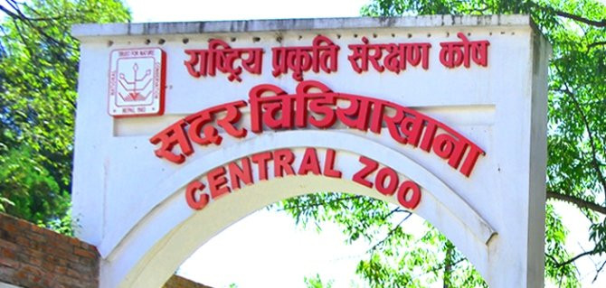 दुई दिनको बिदाले जावलाखेल चिडियाखानामा आगन्तुक बढे