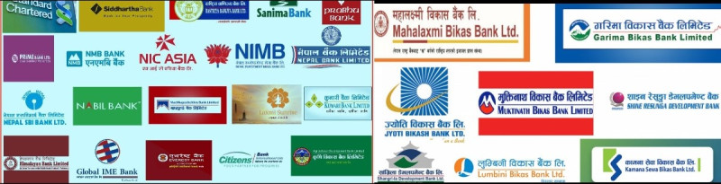 बिग्रिएका कम्पनीको सेयर धितो राखेर कर्जा दिँदा वित्तीय संस्था आफै समस्यामा