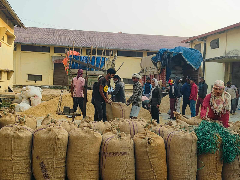 किसानसँग कोटाभन्दा बढी धान खरिद, करिब साढे ७ करोड मूल्य