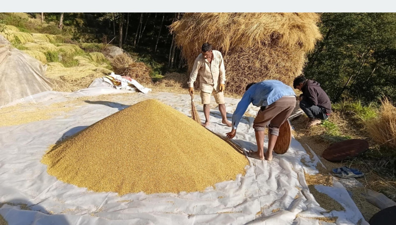 देशभर करिब ५८ प्रतिशत किसान सूचीबद्ध, विद्युतीय प्रणालीमार्फत सुविधा दिइने