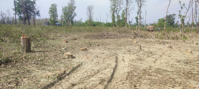 दोधारा चाँदनीमा सुक्खा बन्दरगाह निर्माण धमाधम