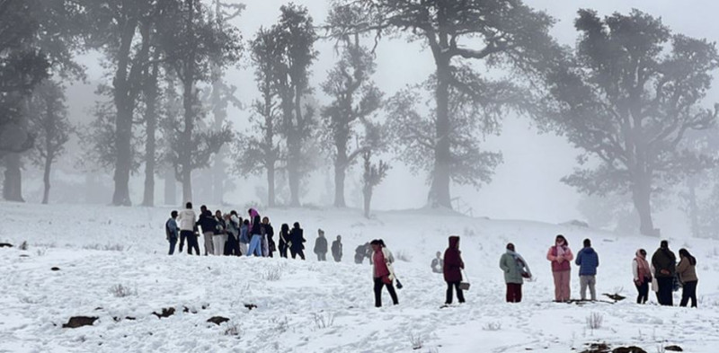 हिउँ पर्न थालेपछि पातिहाल्नेमा पुगे पर्यटक