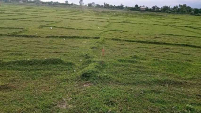 बैरेनी जग्गा एकीकरण आयोजना कार्यान्वयन चरणमा