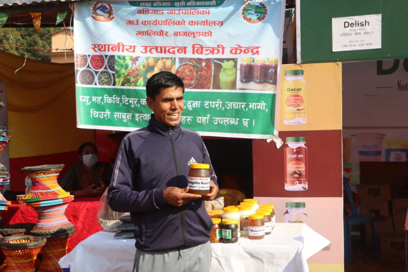 विदेशमा हन्डर खाएर गाउँ फर्किए, मौरी पालेर मनग्य कमाए