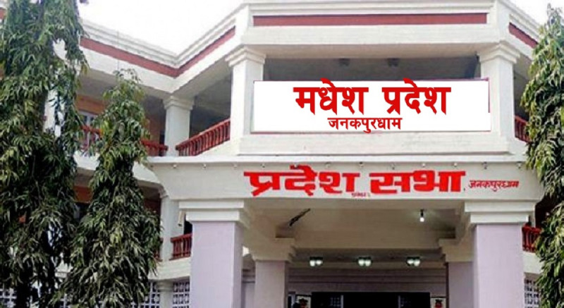 मधेस प्रदेशले ल्यायो साढे ४६ अर्बको बजेट, कुनमा कति?