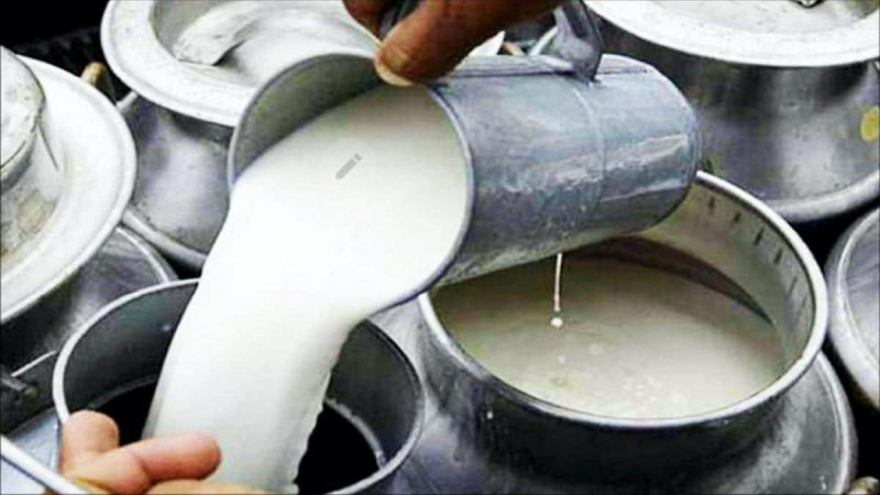 कास्कीका दुग्ध उत्पादक किसानलाई २ करोड अनुदान