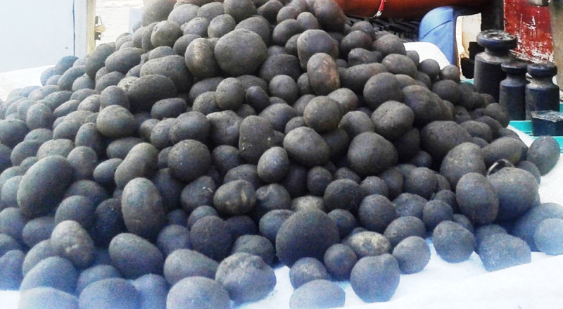 थारु समुदायको भान्सामा हराउँदै ‘फुटकी च्याउ’को स्वाद